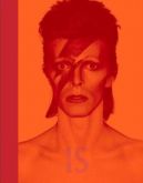 David Bowie Is Inside - Victoria Broackes